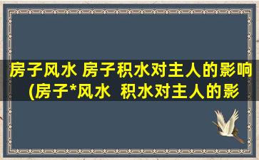 房子风水 房子积水对主人的影响(房子*风水  积水对主人的影响)